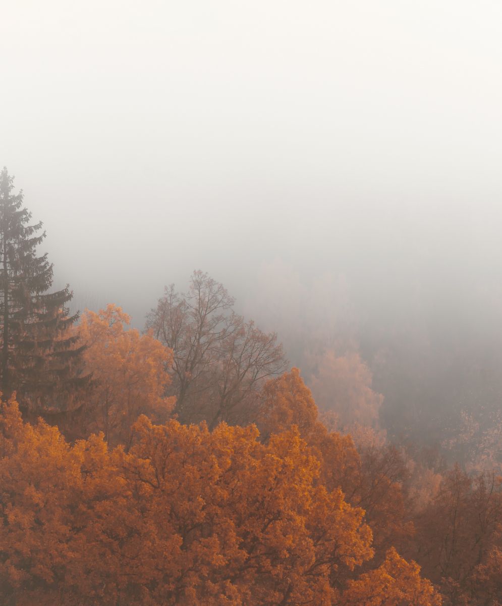 Fatigue automne